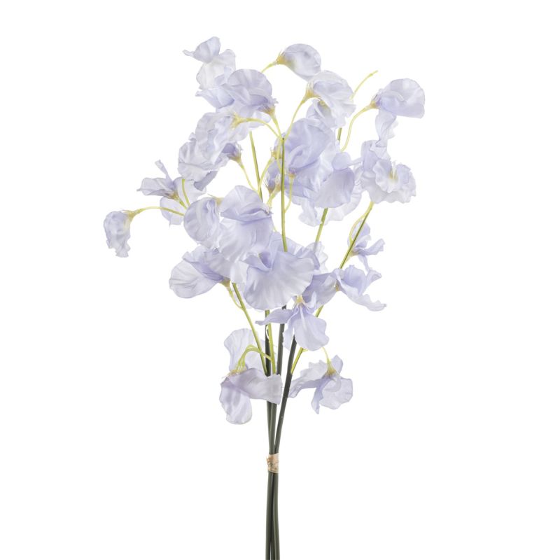 Lathyrus bundle x3 lt purple 48cm