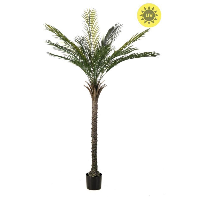 Palm UV 180cm (knock down packing)