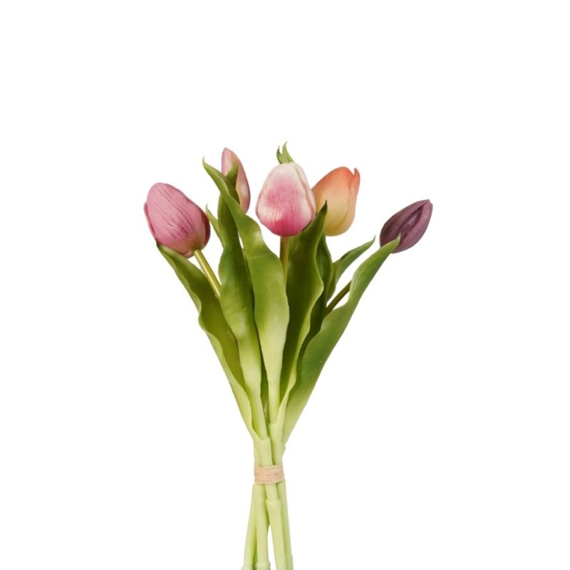 Tulip bundle x5 purple 30cm
