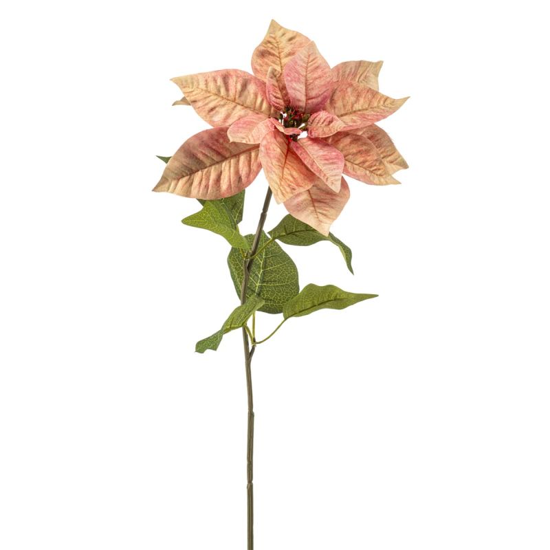 Poinsettia spray peach 65cm