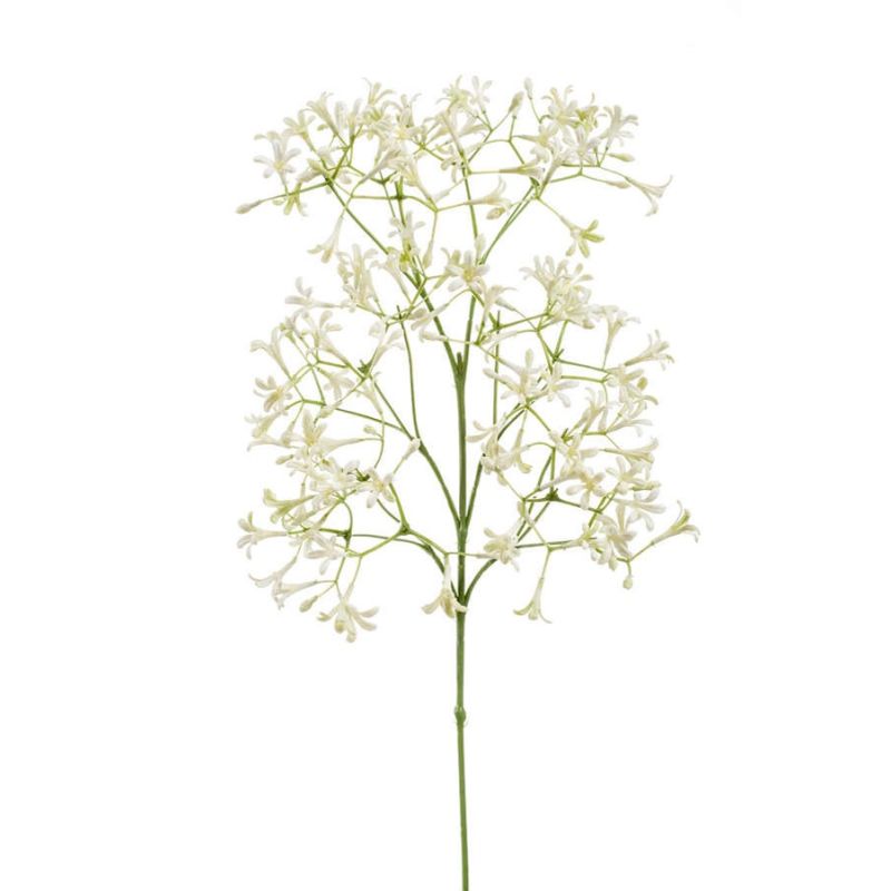 Saxifraga flower spray cream 63cm