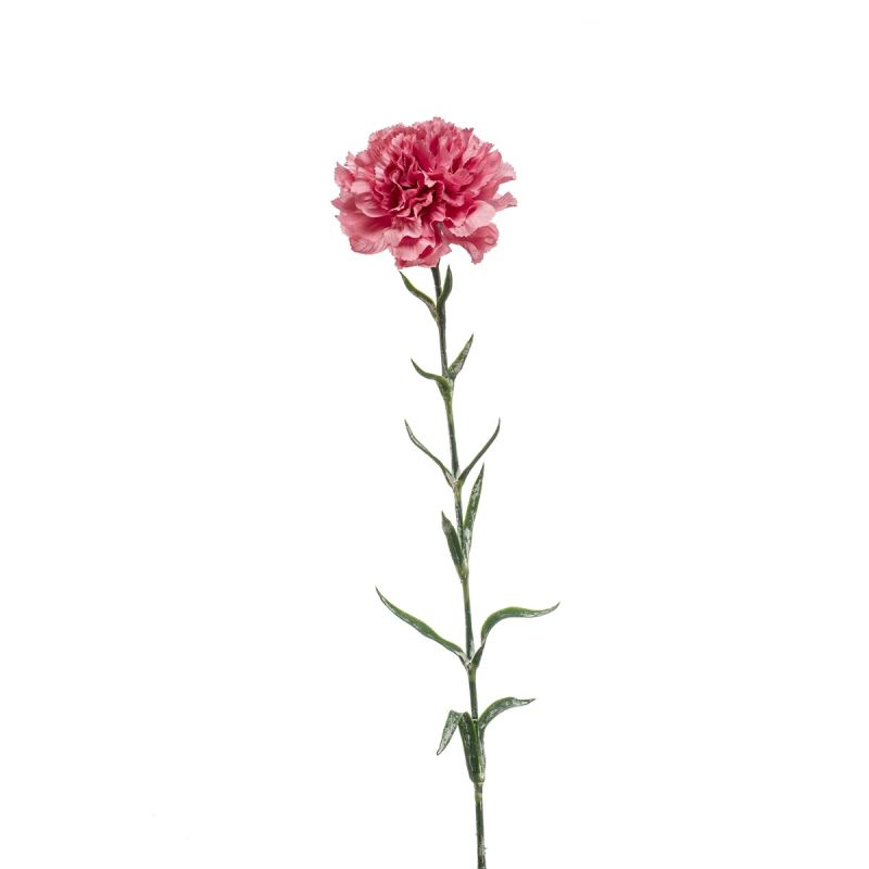 Dianthus spray old pink 67cm