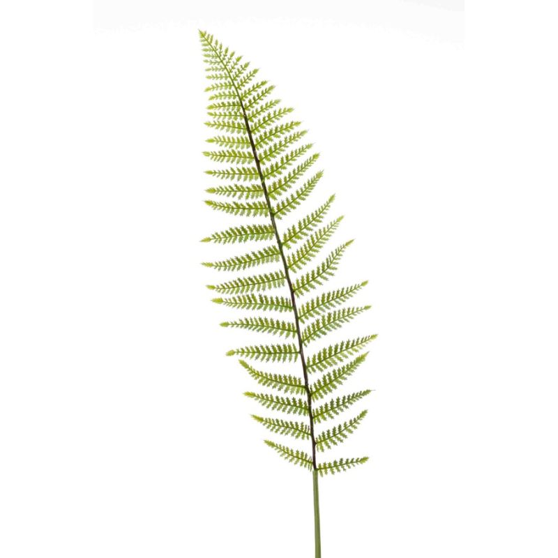 Fern leather spray lt green 100cm