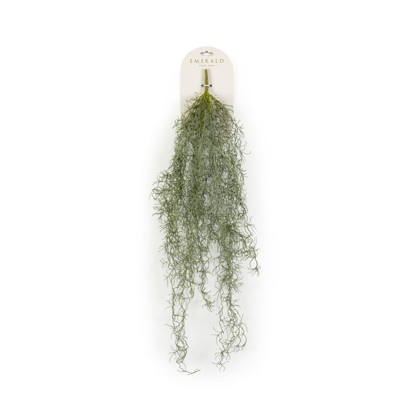 Tillandsia hanging bush grey 80cm