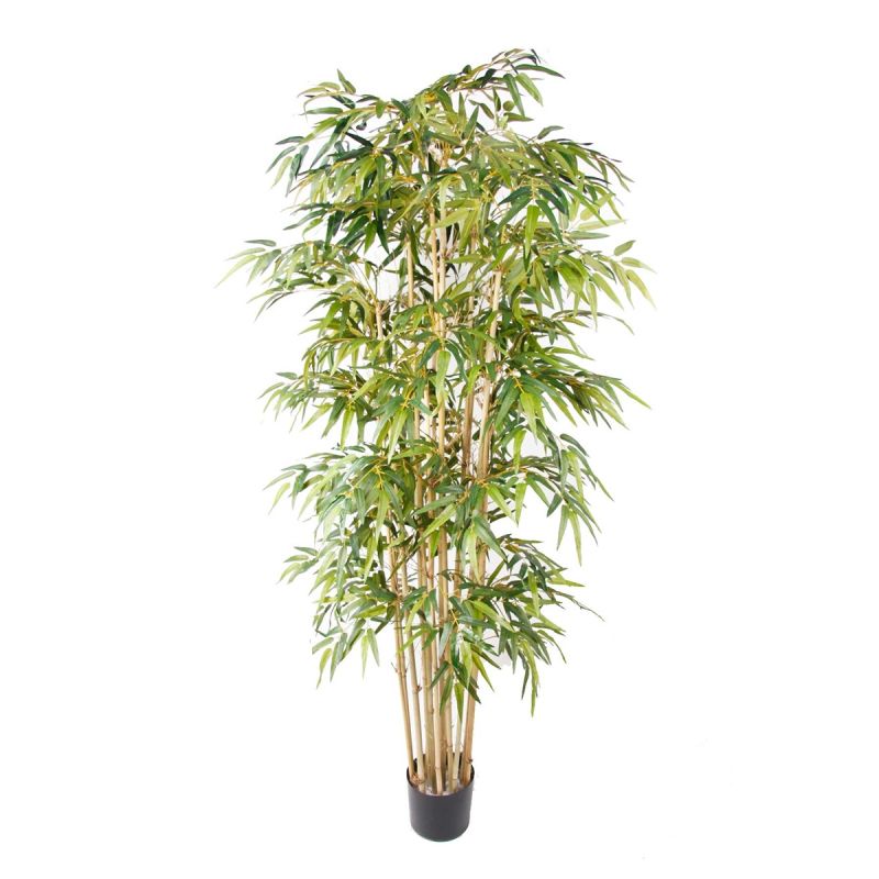 Bamboo deluxe x15 205cm