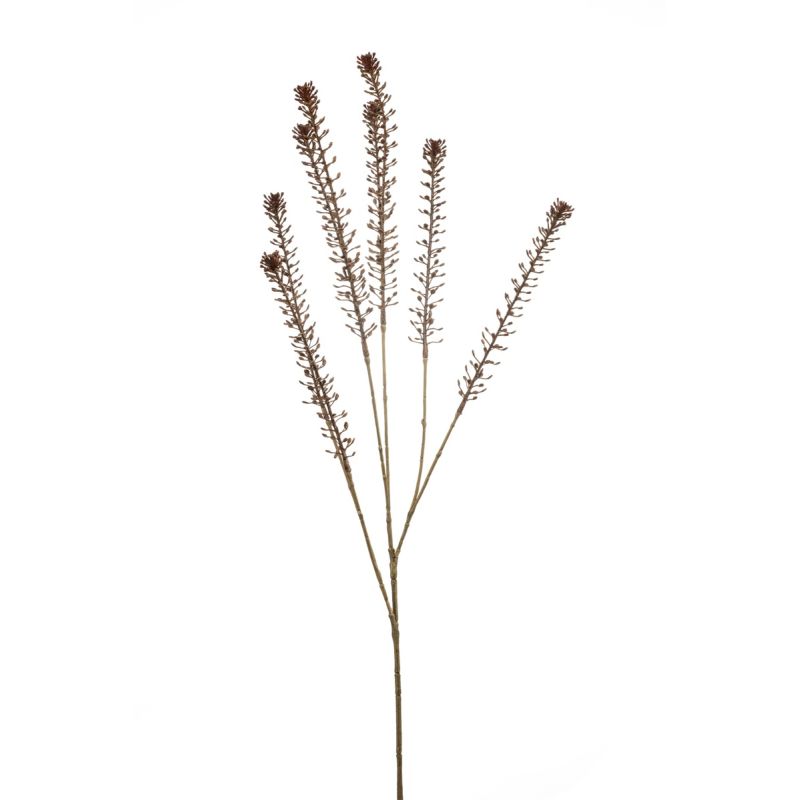 Lepidium spray brown 85cm