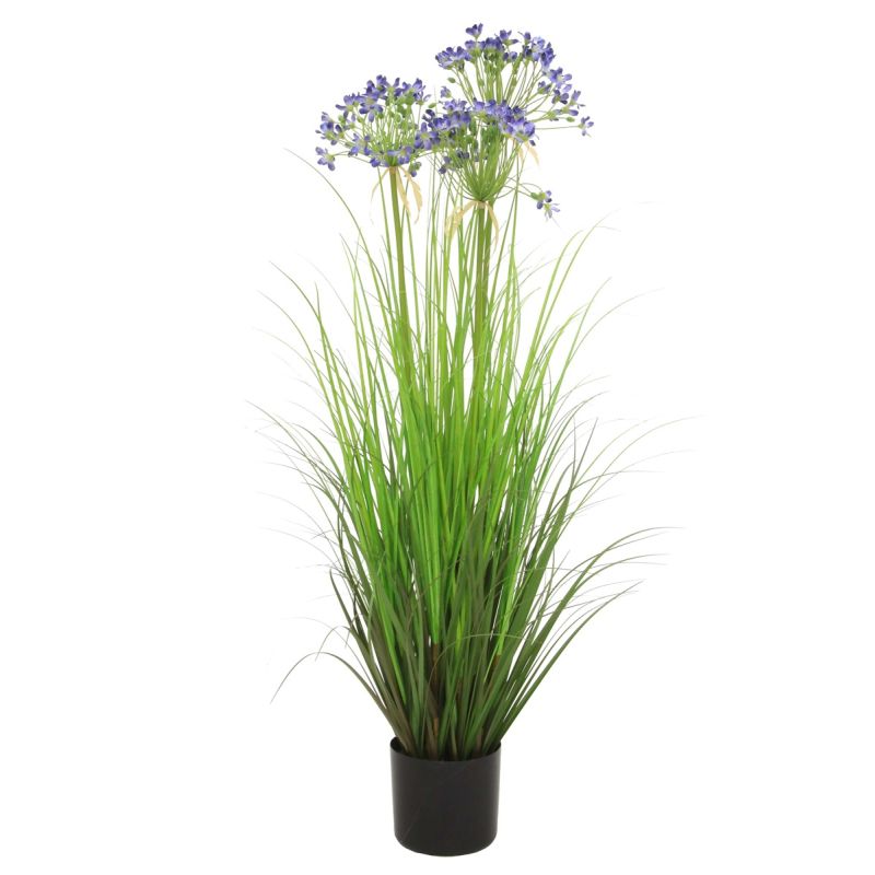 Grass agapanthus blue 110cm