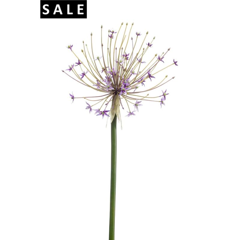 Allium spray lilac 105cm