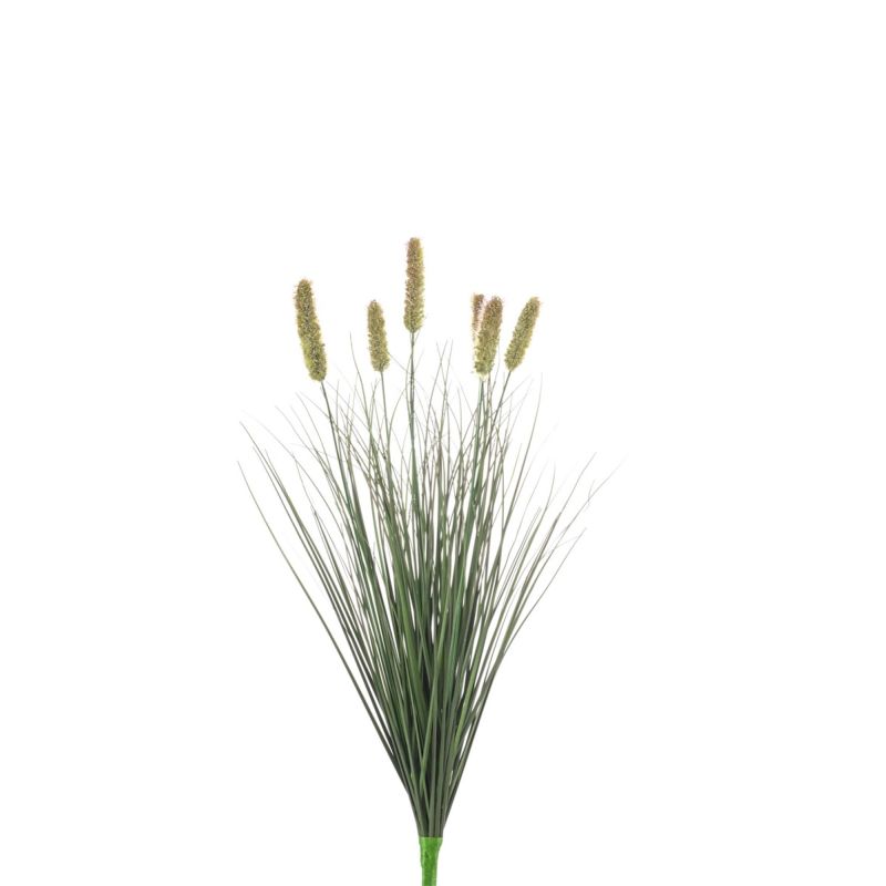 Pennisetum bush 60cm