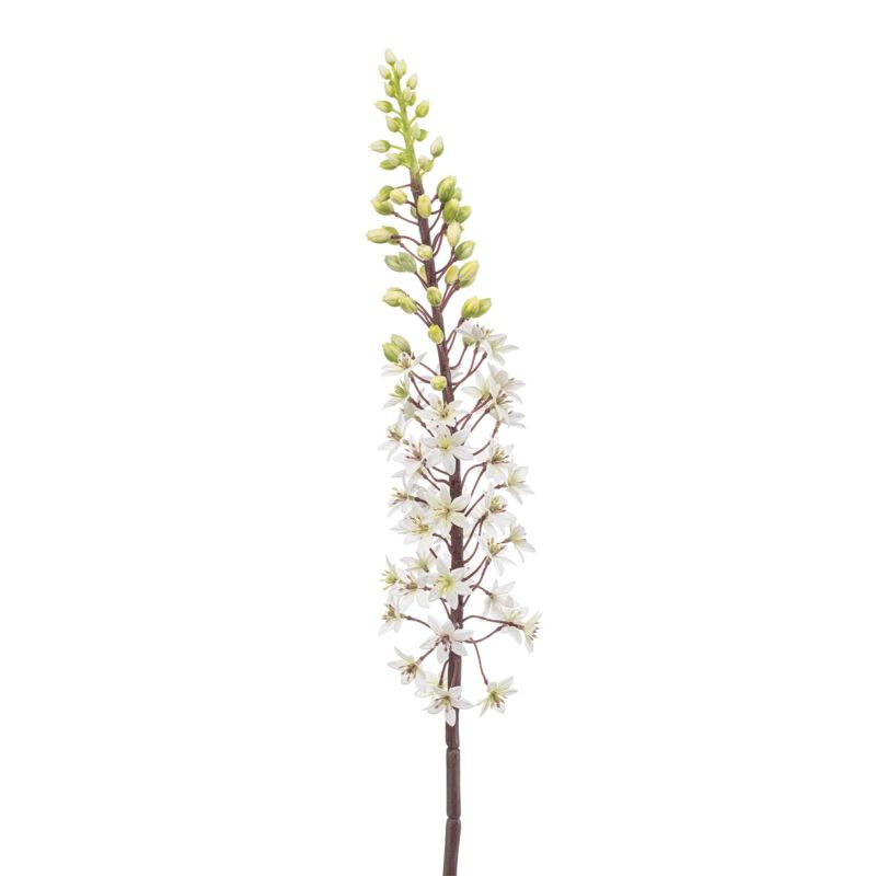 Eremurus spray white/green 95cm