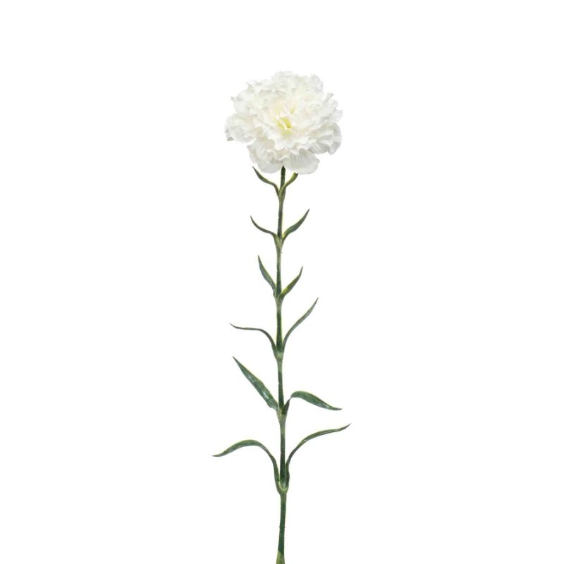 Dianthus spray white 67cm