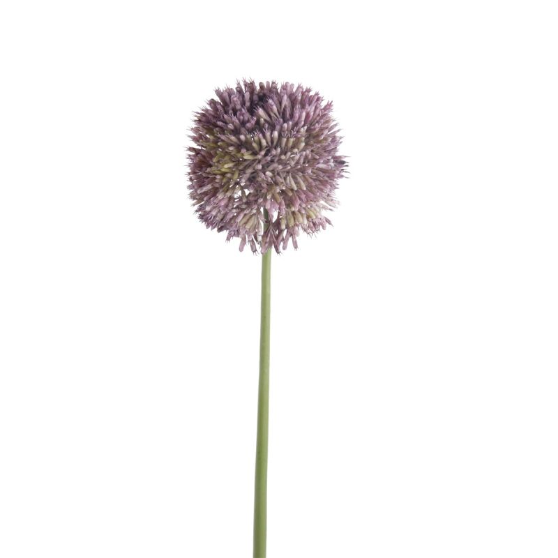 Allium stem 65cm lt purple