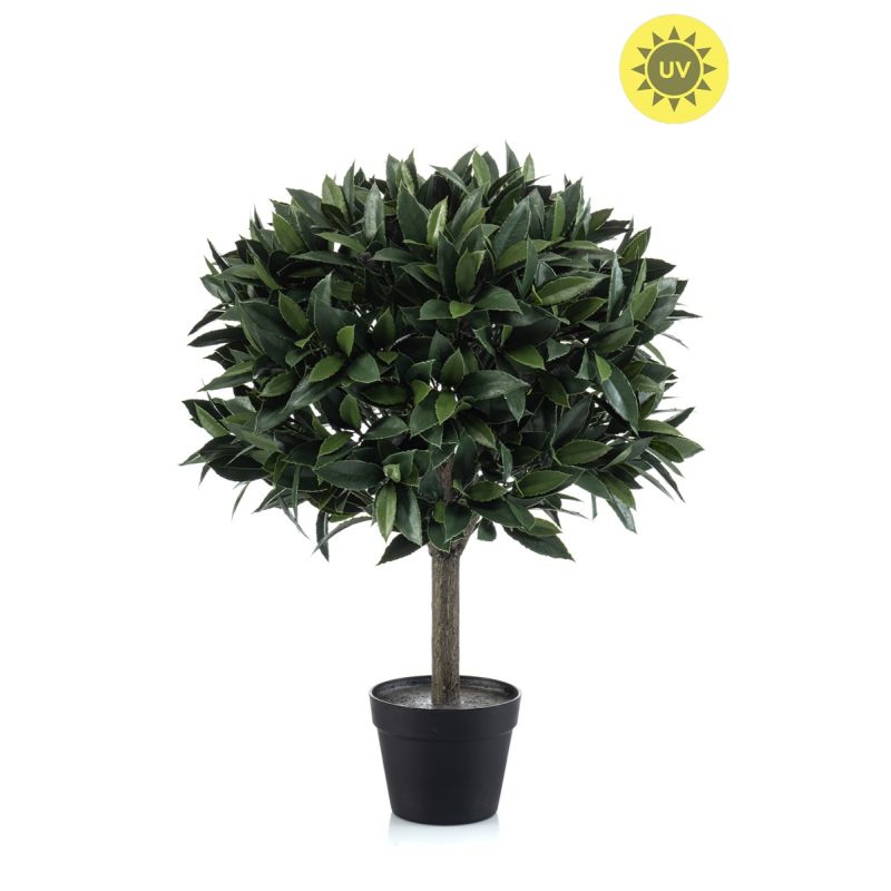 Laurel ball UV in pot 75cm
