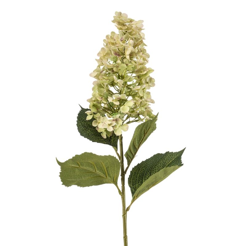 Hydrangea paniculata pray xl green 98cm