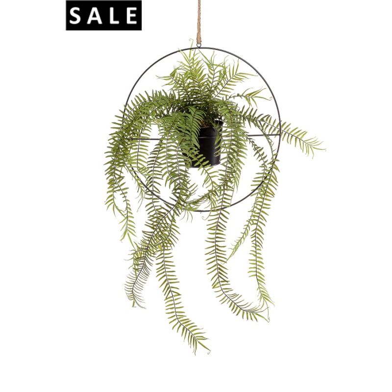 Fern in metal hanging ring 90cm