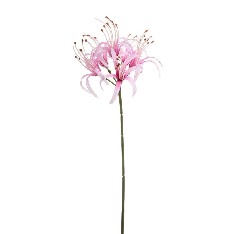 Nerine spray lt pink 63cm