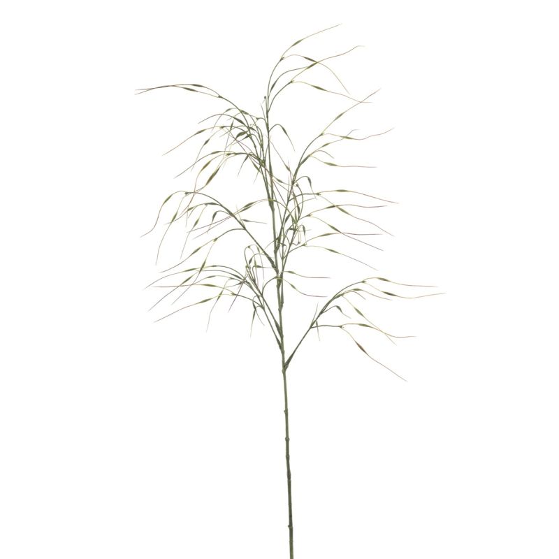 Stipa spray green 110cm