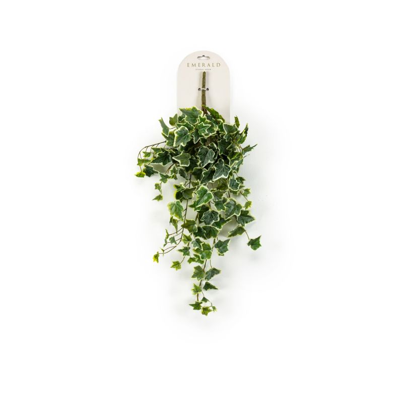 Ivy hanging bush green/white 60cm