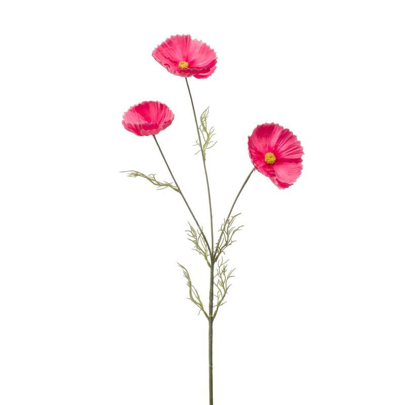 Cosmos spray dk pink 80cm