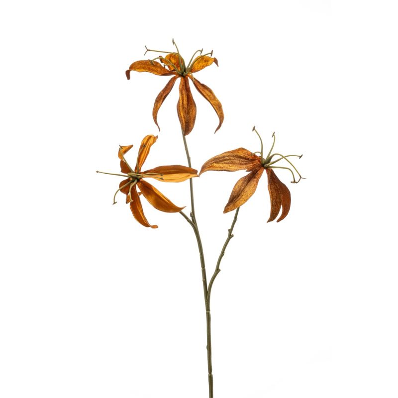 Gloriosa spray orange 67cm