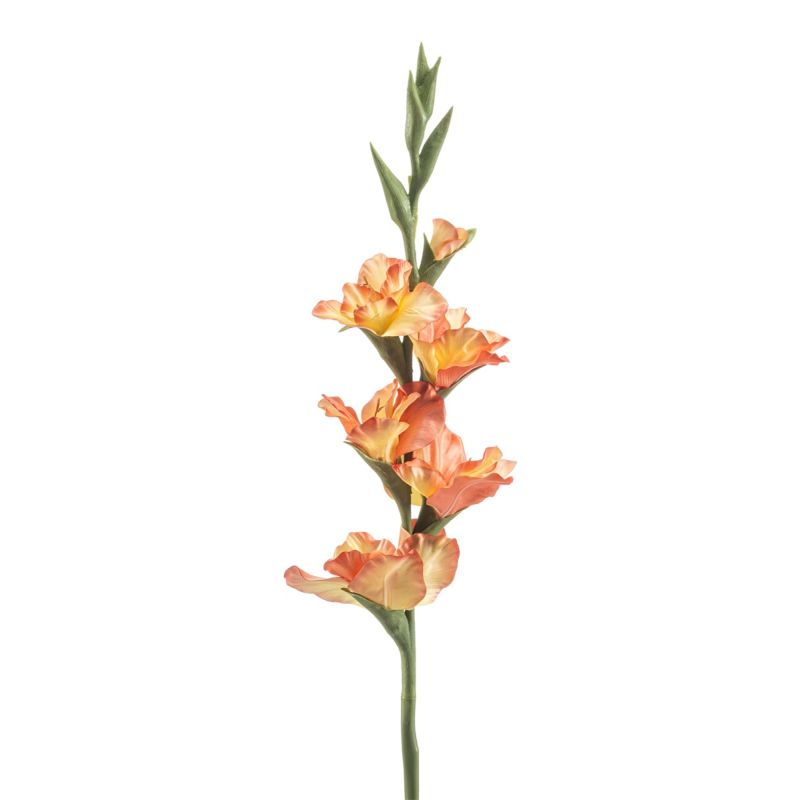 Gladiolus spray peach 88cm