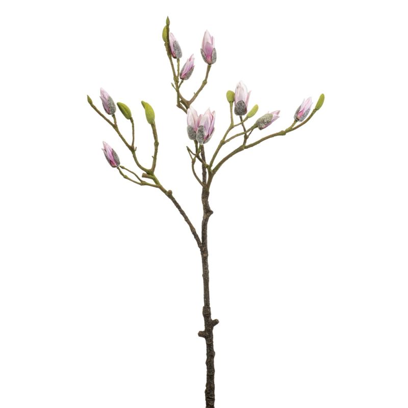 Magnolia spary pink 90cm