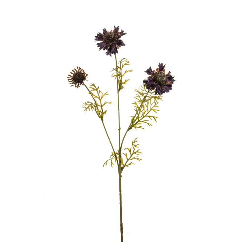 Scabiosa spray purple 68cm