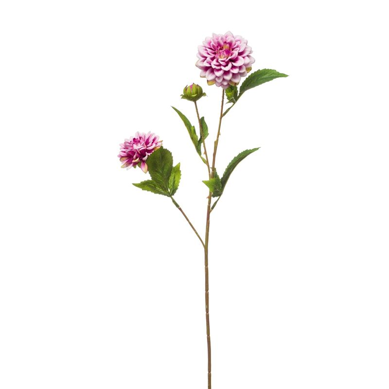 Dahlia mini spray purple 68cm