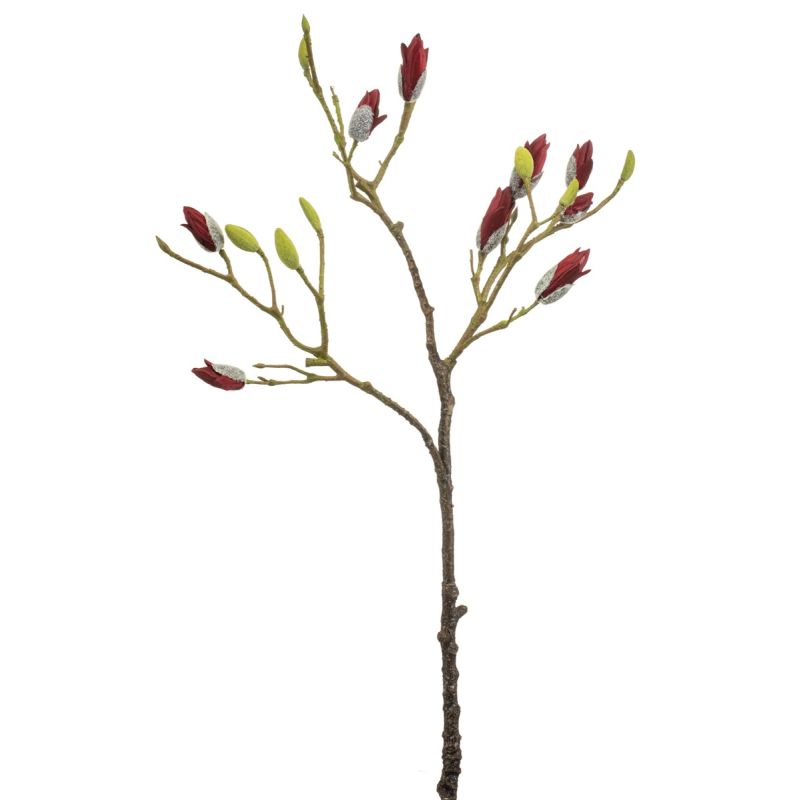 Magnolia spary red 90cm