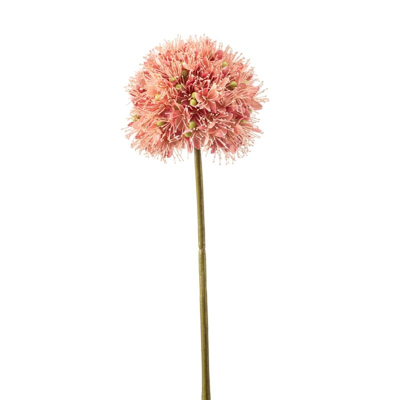 Allium spray pink 63cm