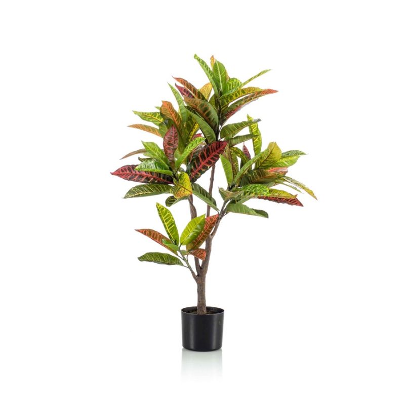 Croton plant 95cm