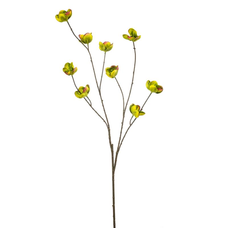 Helleborus spray green 110cm