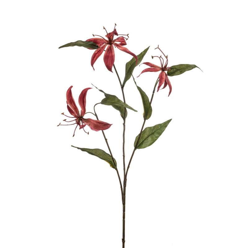 Gloriosa spray burgundy 80cm