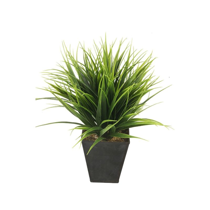 Grass bush green in zinc pot 30cm