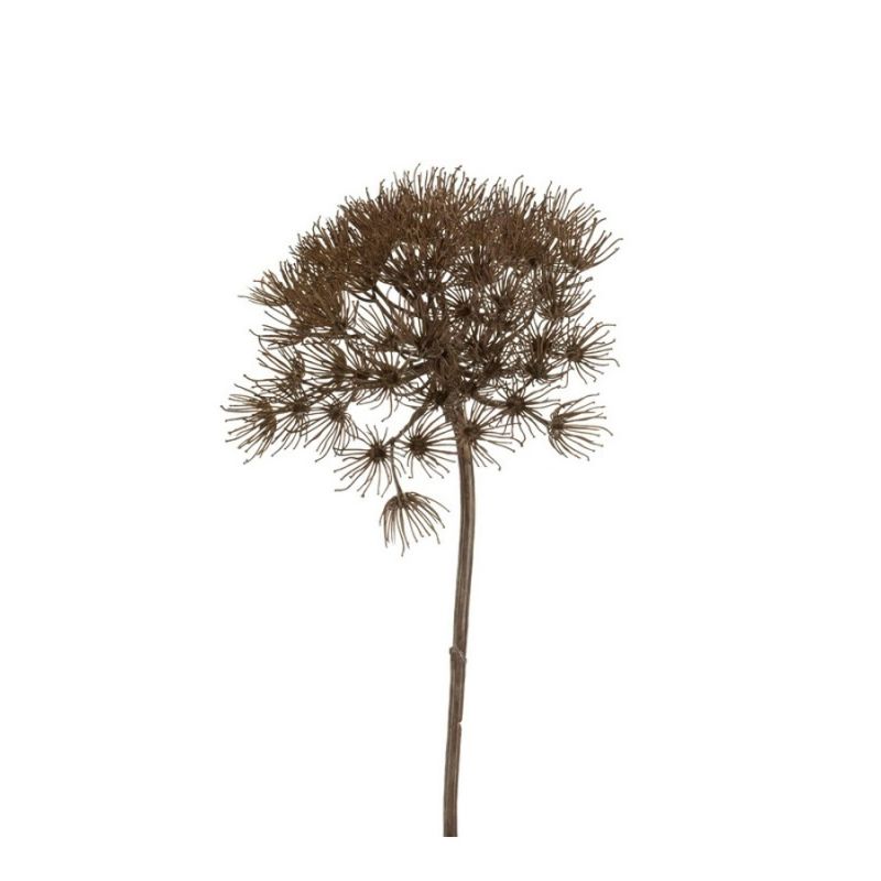 Heracleum spray grey 80cm