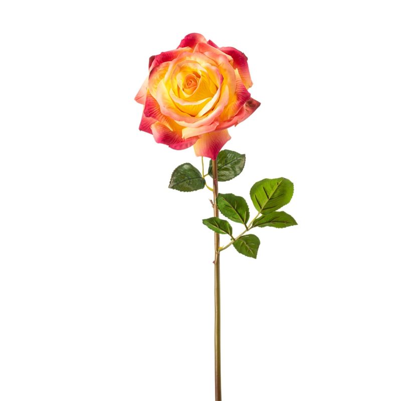 Rose chloe RT spray beauty/yellow 68cm