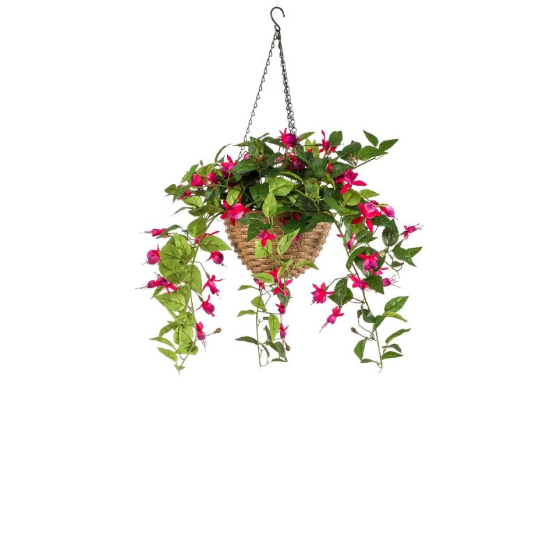 Fuchsia in hanging basket fuchsia 70cm