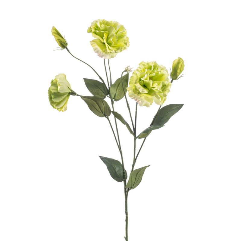 Eustoma spray green 75cm