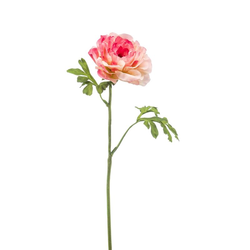 Ranunculus spray tt pink 61cm