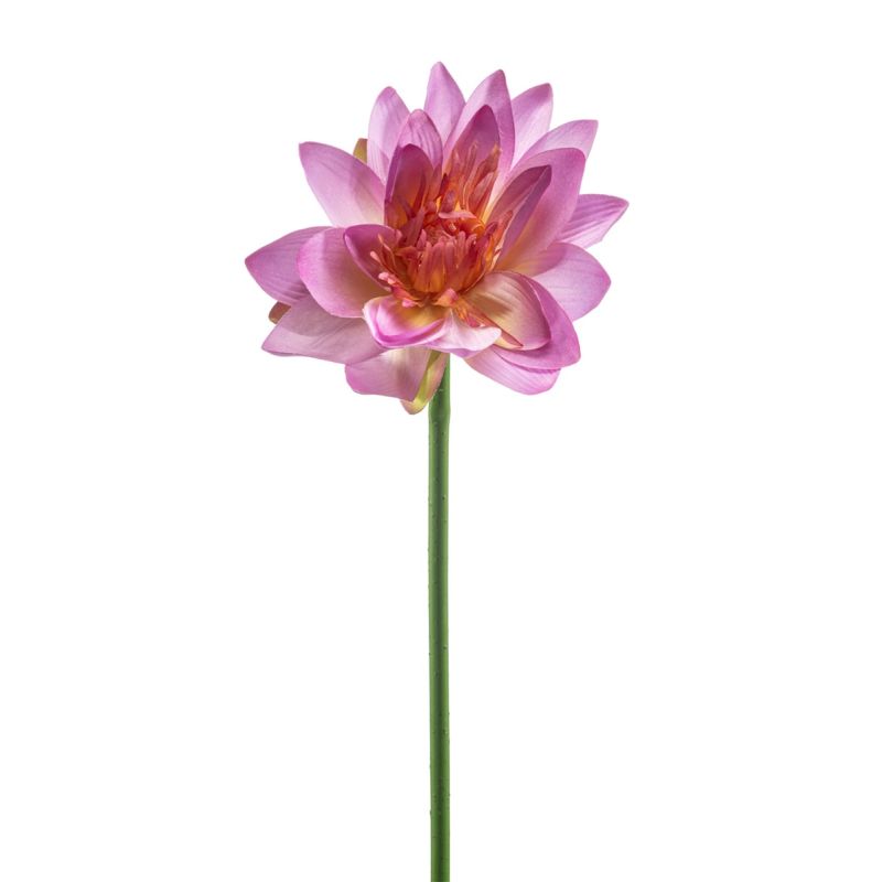 Lotus spray purple 80cm