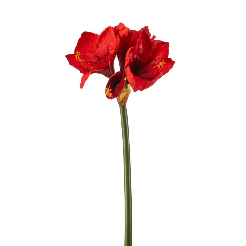 Amaryllis spray RT red 62cm