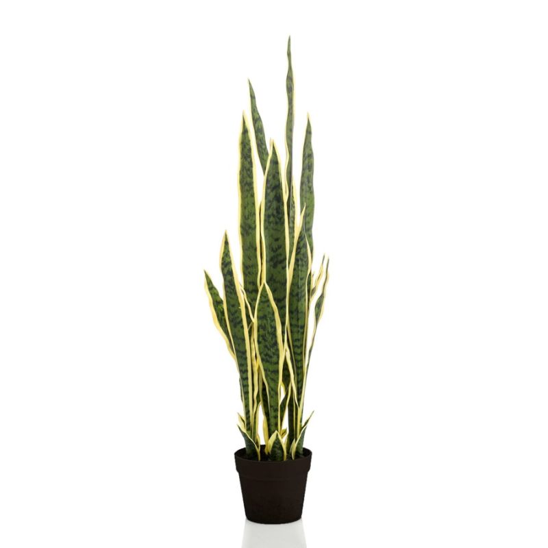 Sansevieria green/yellow in pot 97cm