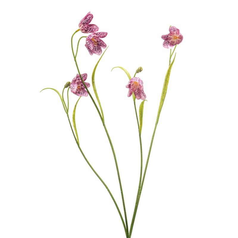 Fritillaria spray beauty 52cm