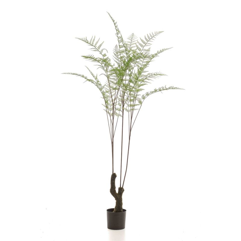 Fern forest on trunk 210cm