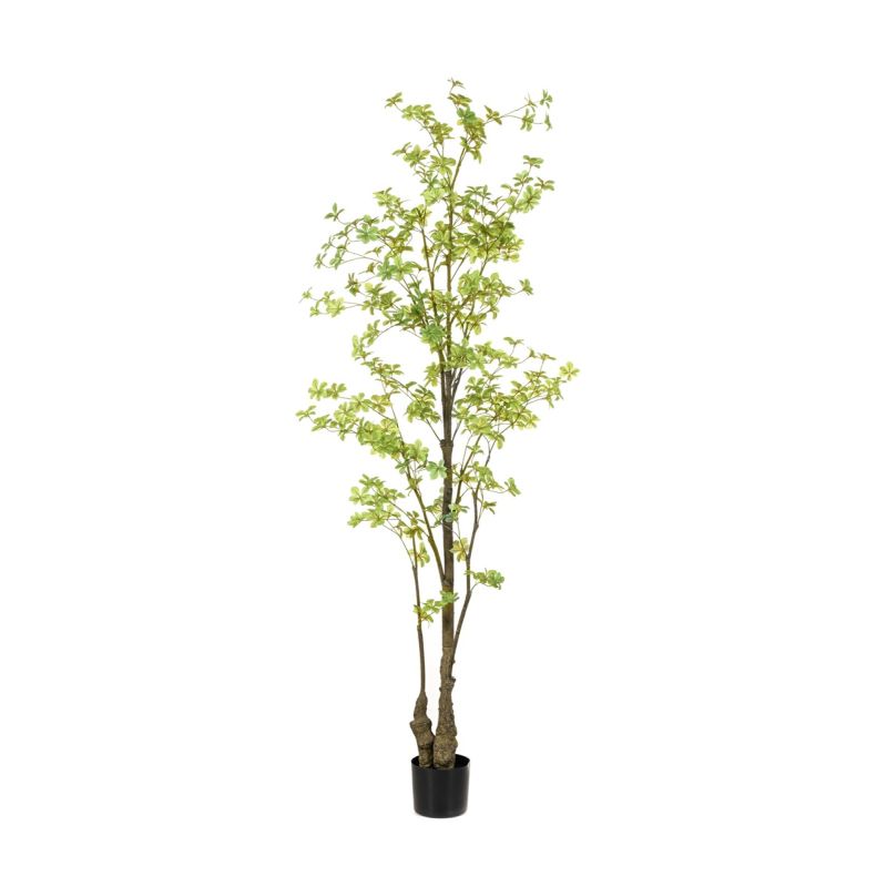 Tropaeolum plant green 210cm (knock down packing)