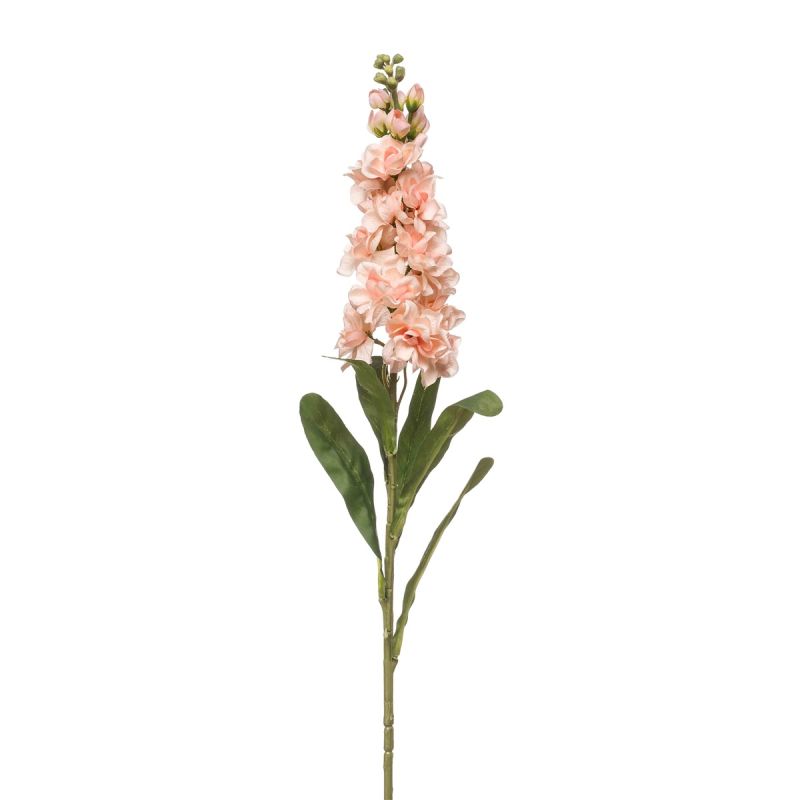 Matthiola spray peach 80cm
