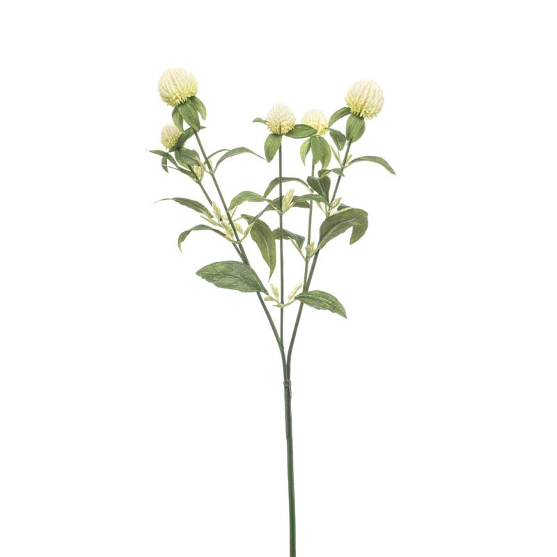 Gomphrena spray cream 64cm