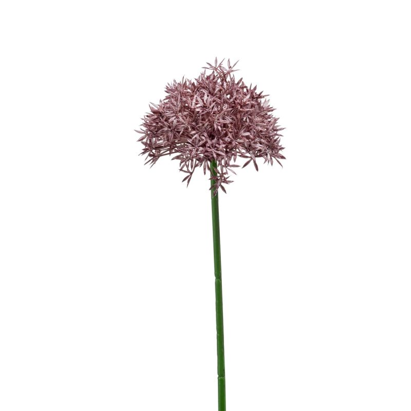 Allium spray purple 62cm