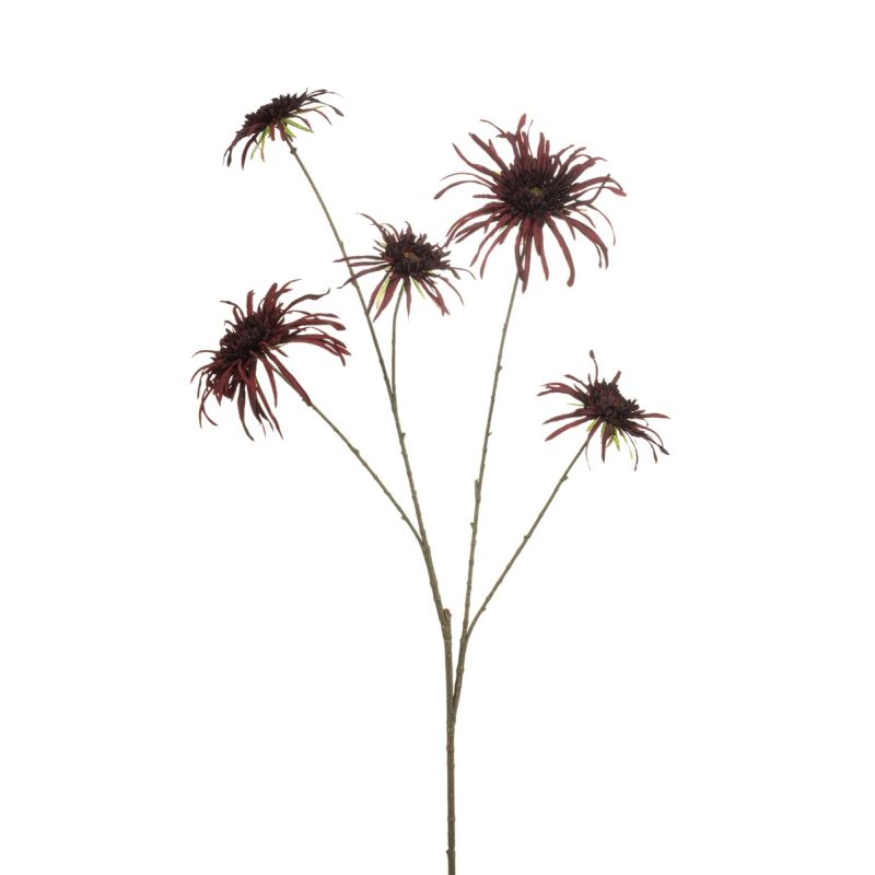 Chrysantum spider spray burgundy 110cm