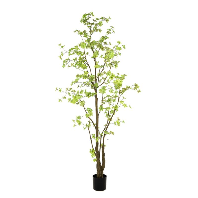 Tropaeolum plant green 270cm (knock down packing)